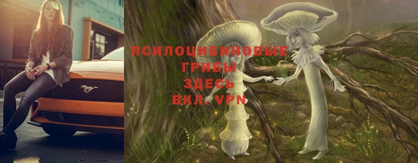 гашиш Богородск